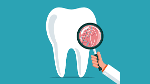 dental checkup -hurstbournedentalcare.com